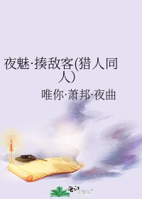 夜魅·揍敌客(猎人同人)