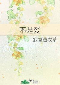 《不是爱》