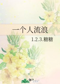 《一個人流浪》