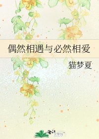 《偶然相遇与必然相蔼》