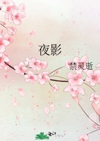 夜影