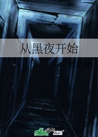 《从黑夜开始》