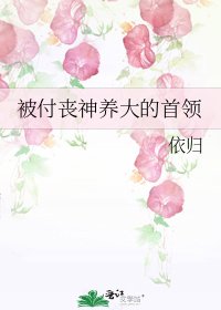 被付丧神养大的首领