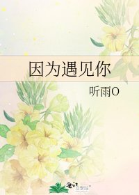 《因为遇见你》