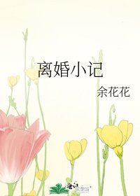 《离婚小记》