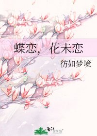 《蝶戀,花未戀》