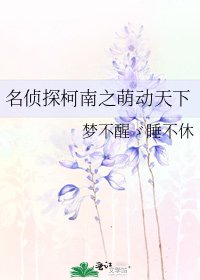 《名侦探柯南之萌动天下》
