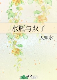 《水瓶与双子》