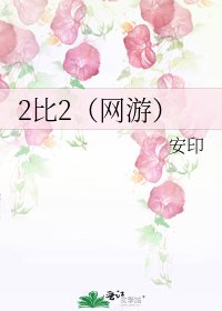 2比2(网游)