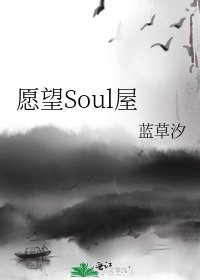 《愿望Soul屋》