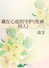《藏在心底的守护(死神同人)》