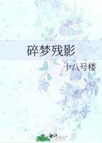 《碎夢殘影》