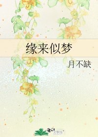 《缘来似梦》