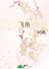 《飞鱼》