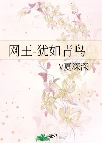 《网王-犹如青鸟》