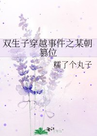 《雙生子穿越事件之某朝篡位》