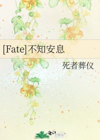 [Fate]不知安息