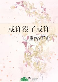《或许没了或许》