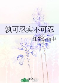 孰可忍实不可忍