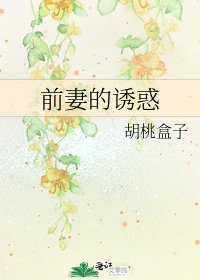 前妻的誘惑