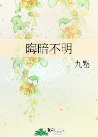 《晦暗不明》