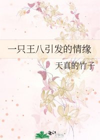 《一隻王八引發的情緣》