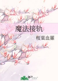 《魔法接轨》