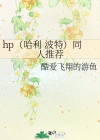 《hp(哈利 波特)同人推薦》