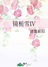 《镜栀雪Ⅳ》