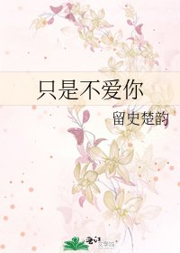 《只是不爱你》
