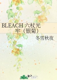 《BLEACH 六杖光牢(銀菊)》