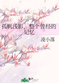 孤帆浅影，整个曾经的记忆
