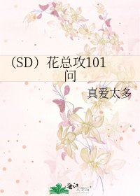 《(SD)花总攻101问》