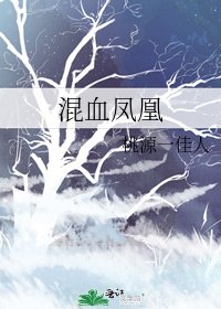 《混血鳳凰》