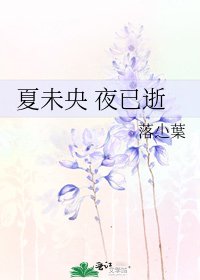 《夏未央 夜已逝》