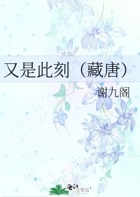 《又是此刻(藏唐)》