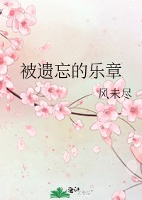 《被遗忘的乐章》