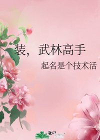 《装,武林高手》