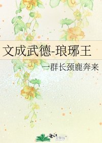 《文成武德-琅琊王》