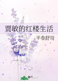 《贾敏的红楼生活》