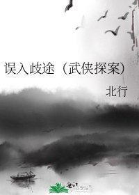 《誤入歧途(武俠探案)》