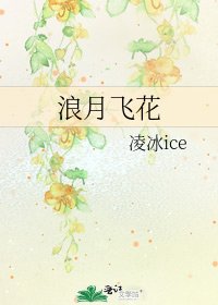 《浪月飞花》