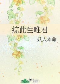 綜此生唯君