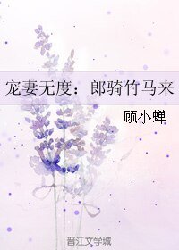 《寵妻無度:郎騎竹馬來》