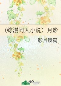 《(綜漫同人)月影》