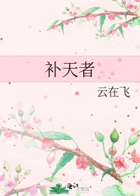 《补天者》
