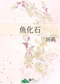 《鱼化石》