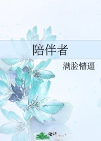 《陪伴者》