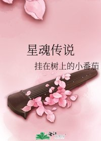 星魂传说