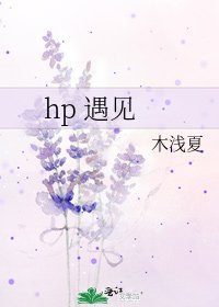 《hp 遇见》